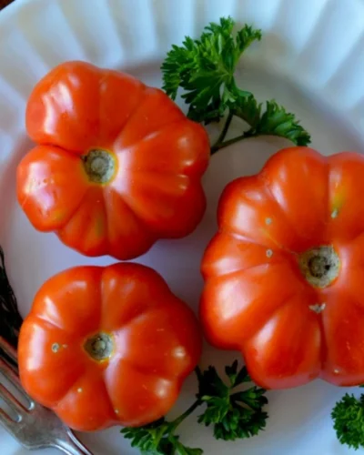 Alimentation saine et équilibrée : guide complet + menus types